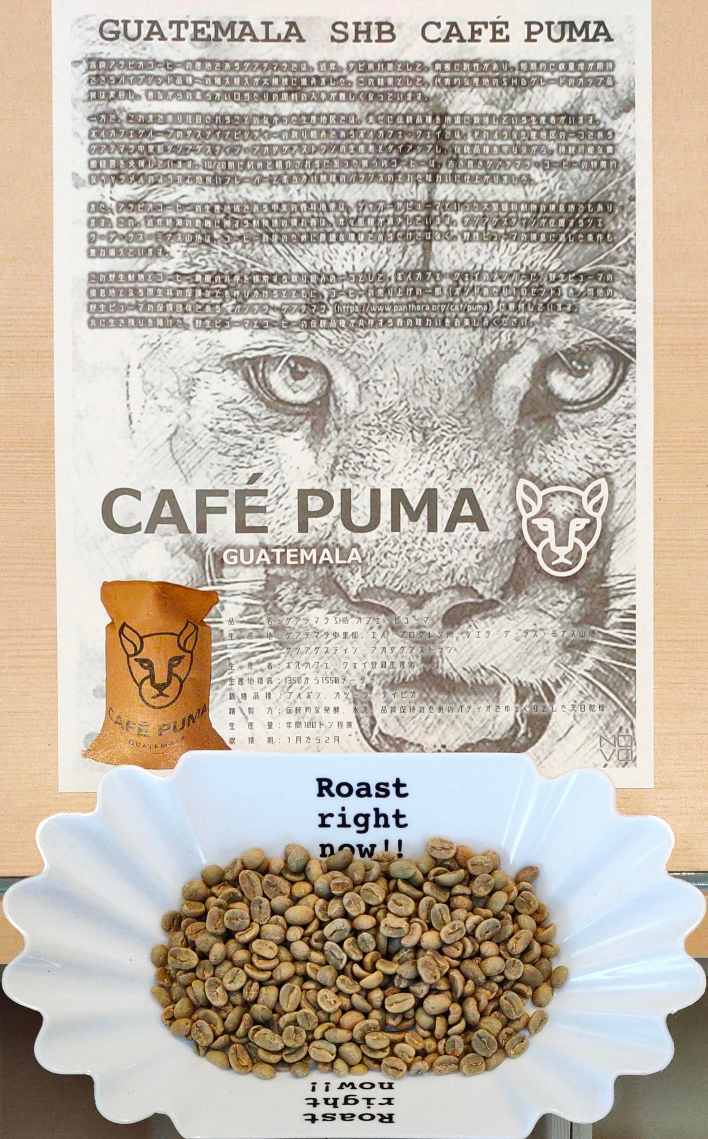 【メール便送料無料同梱不可】グアテマラ SHB カフェ・ピューマ GUATEMALA SHB CAFÉ PUMA