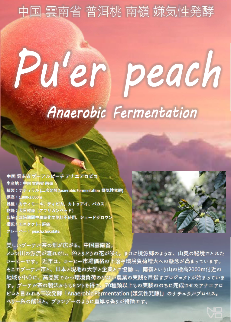 【メール便送料無料同梱不可】中国 プーアルピーチ アナエロビック Anerobic Fermentation