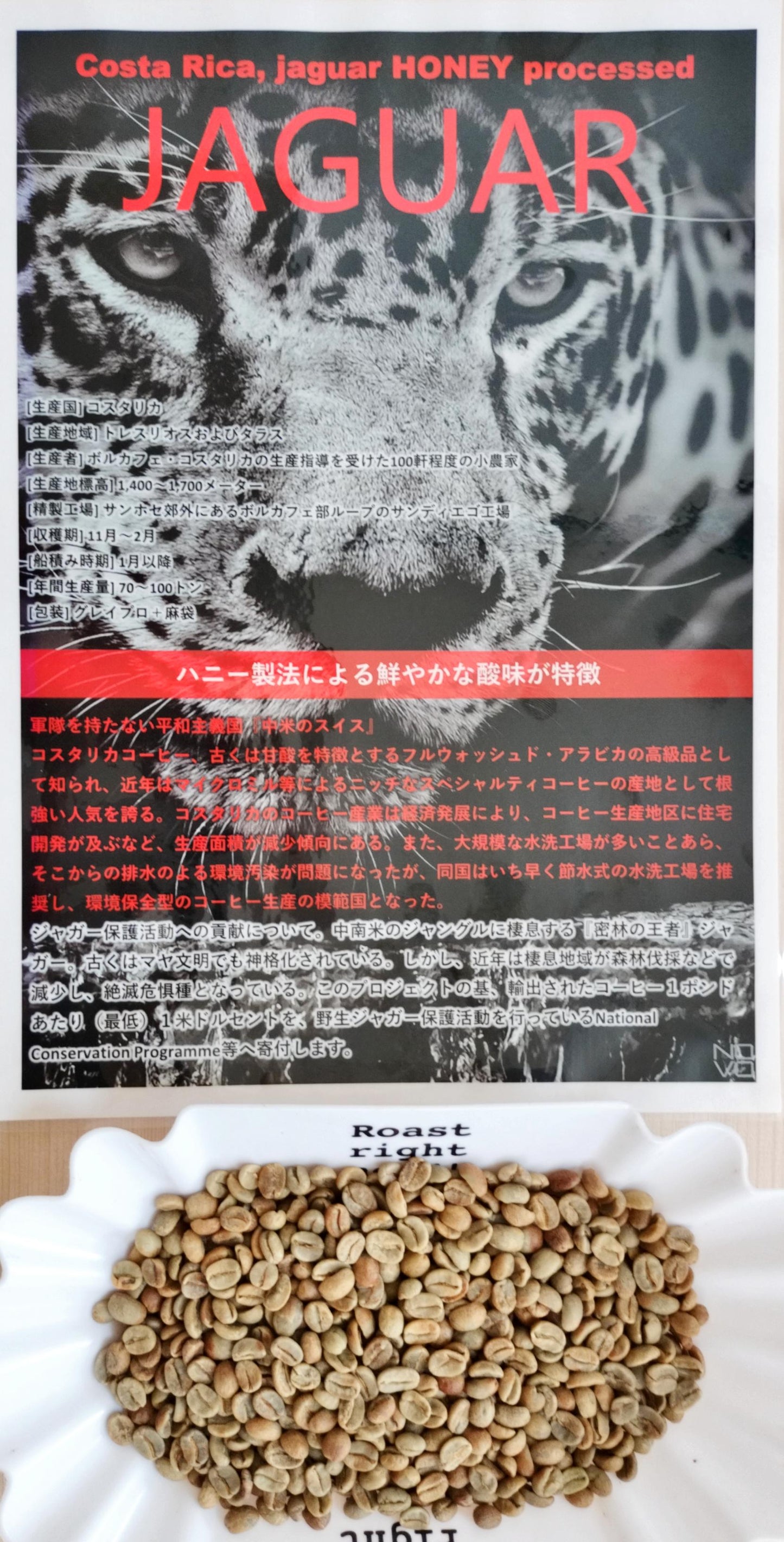 【新潟県内限定価格メール便送料無料】コスタリカ JAGUAR ハニー製法 COSTA RICA JAGUAR HONEY processed