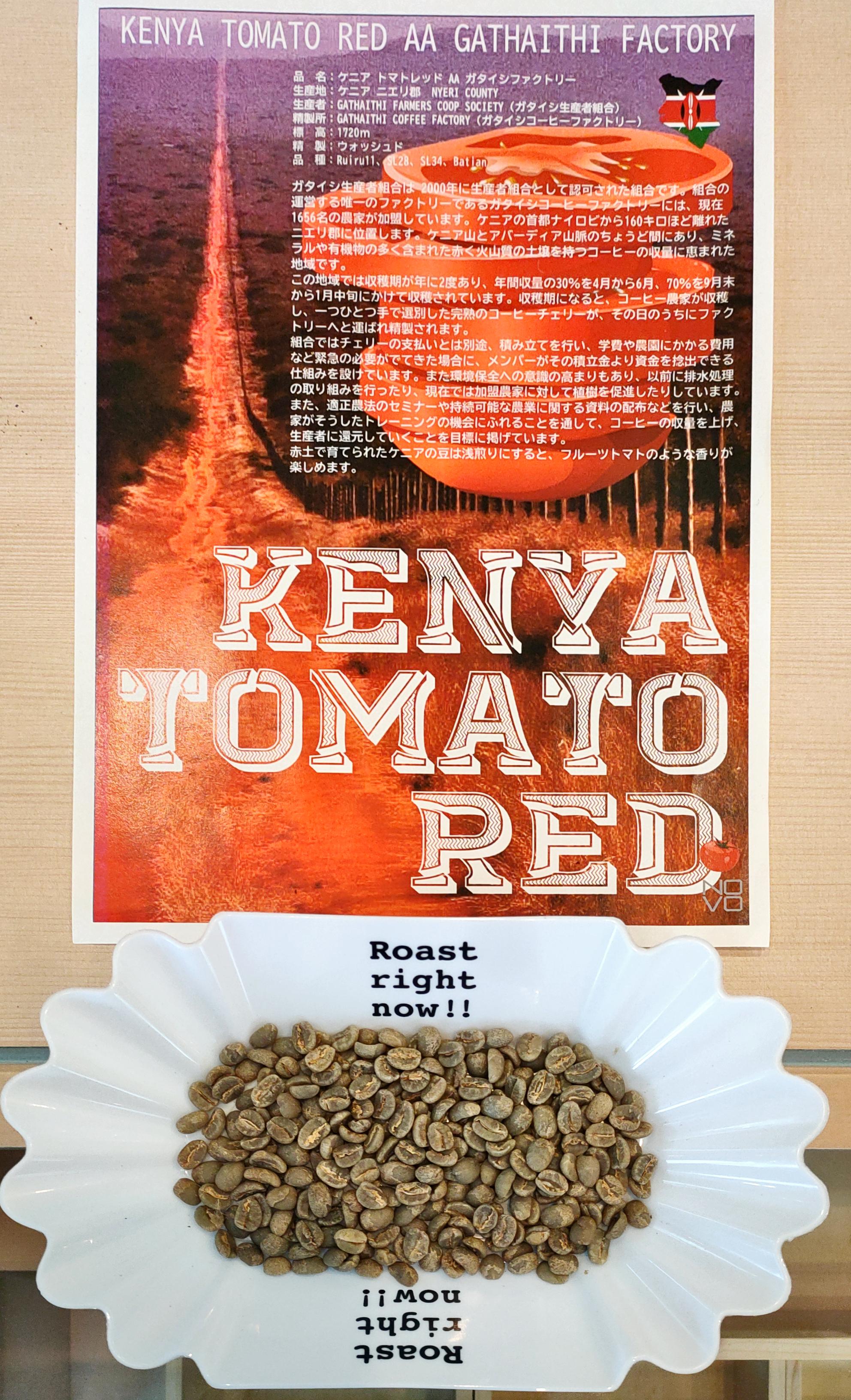 【メール便送料無料同梱不可】ケニアトマトレッド AA ガタイシファクトリー KENYA TOMATO RED GATHAITHI FACTORY