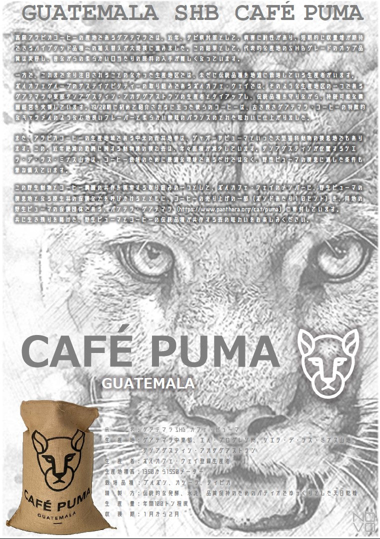 【メール便送料無料同梱不可】グアテマラ SHB カフェ・ピューマ GUATEMALA SHB CAFÉ PUMA