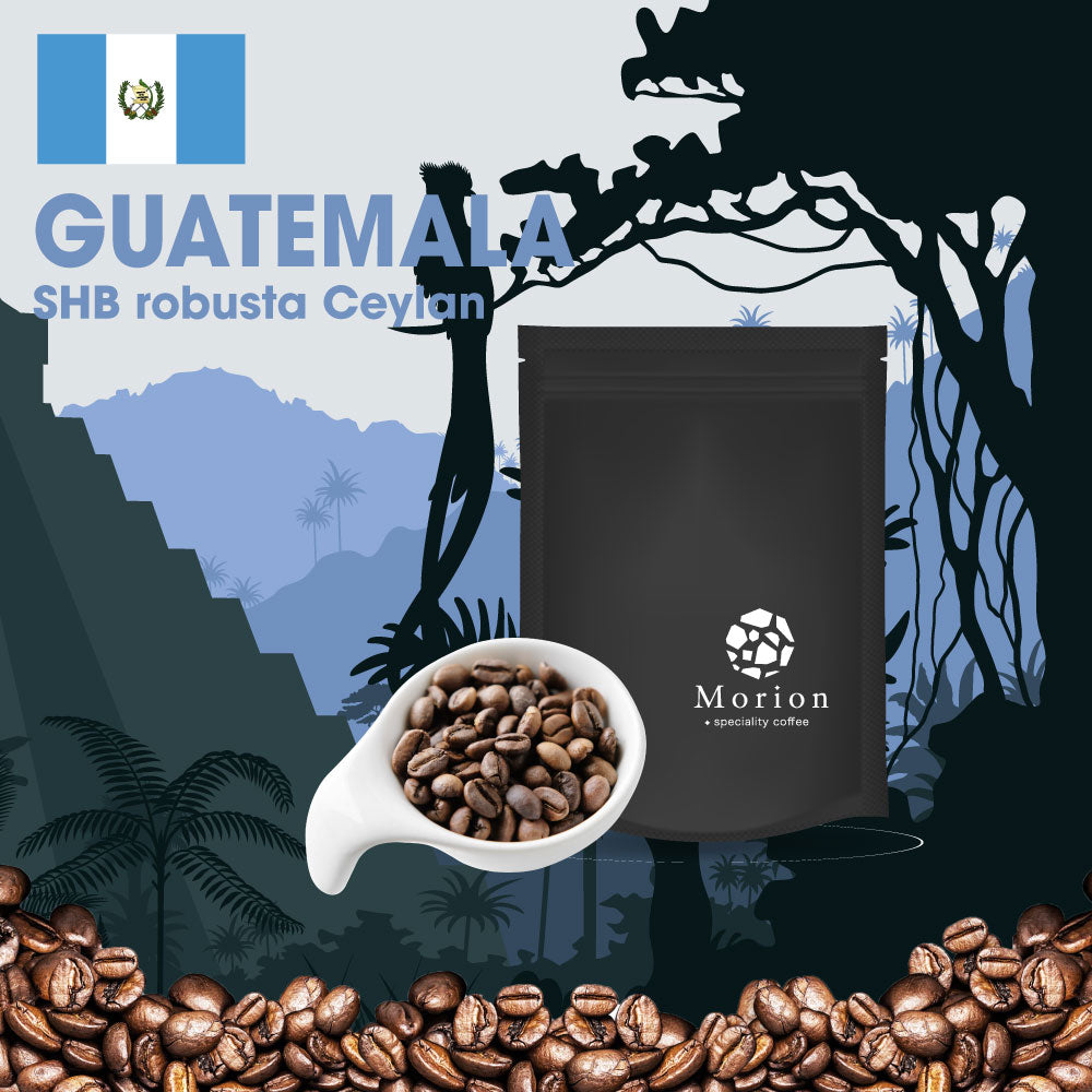 【メール便送料無料同梱不可】グアテマラ ロブスタ セイラン GUATEMALA SHB robusta Ceylan