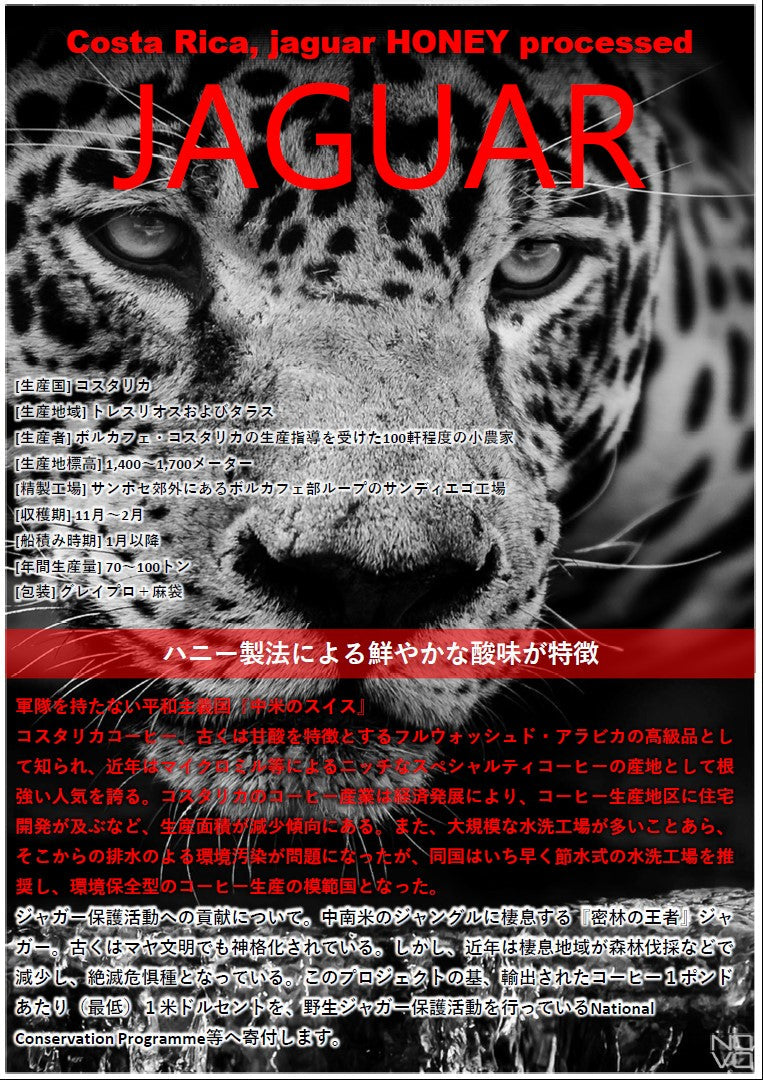 【新潟県内限定価格メール便送料無料】コスタリカ JAGUAR ハニー製法 COSTA RICA JAGUAR HONEY processed