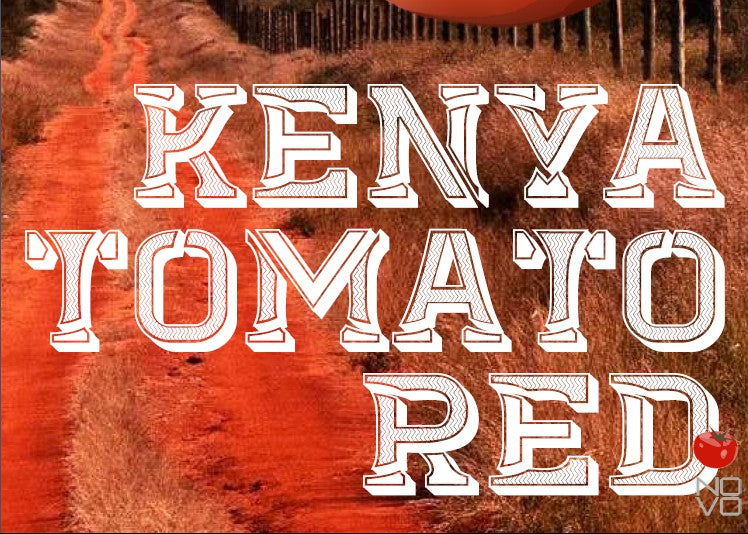 【新潟県内限定価格メール便送料無料】ケニアトマトレッド AA ガタイシファクトリー KENYA TOMATO RED GATHAITHI FACTORY