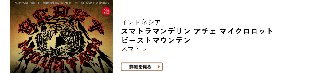 【新潟県内限定価格メール便送料無料】インドネシア スマトラ島 マンデリン アチェ マイクロロット ビーストマウンテンINDONESIA SUMATRA MANDHELING ACEH MicroLot BEAST MOUNTAIN