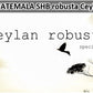 【新潟県内限定価格メール便送料無料】グアテマラ ロブスタ セイラン GUATEMALA SHB robusta Ceylan
